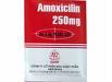 Amoxicillin-250mg