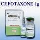 Cefotaxone 1g